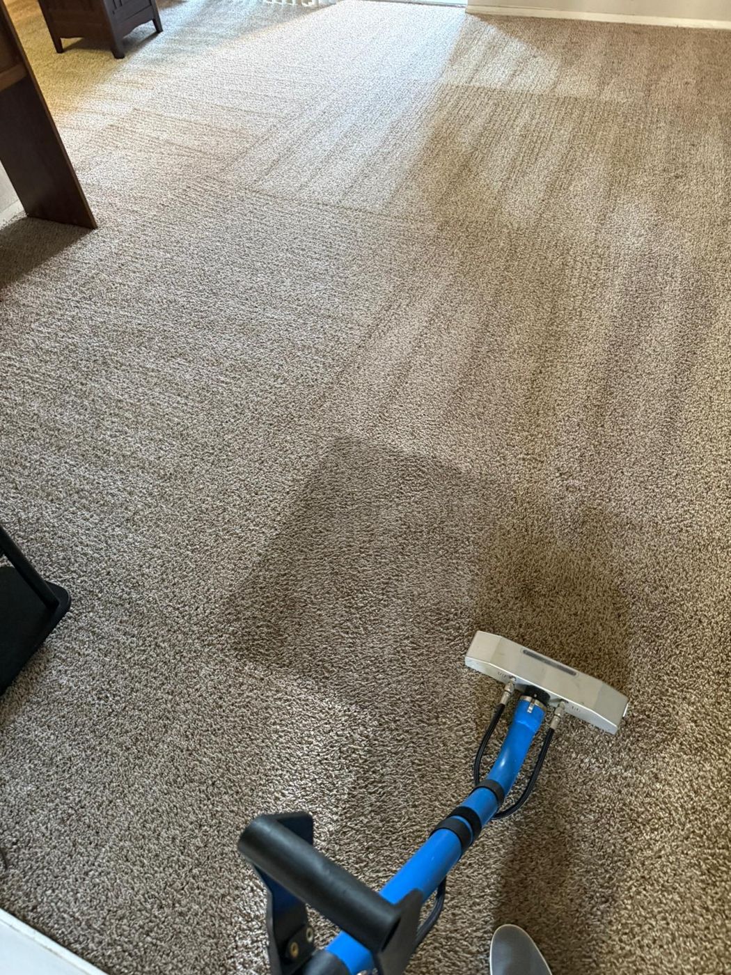 Squeaky Clean carpet and floor cleaning result in North Texas &mdash; photo 11
